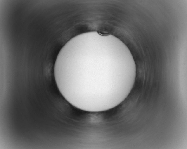 X0000089850275200707191908