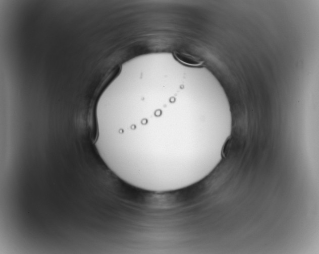 X0000089850277200707191908