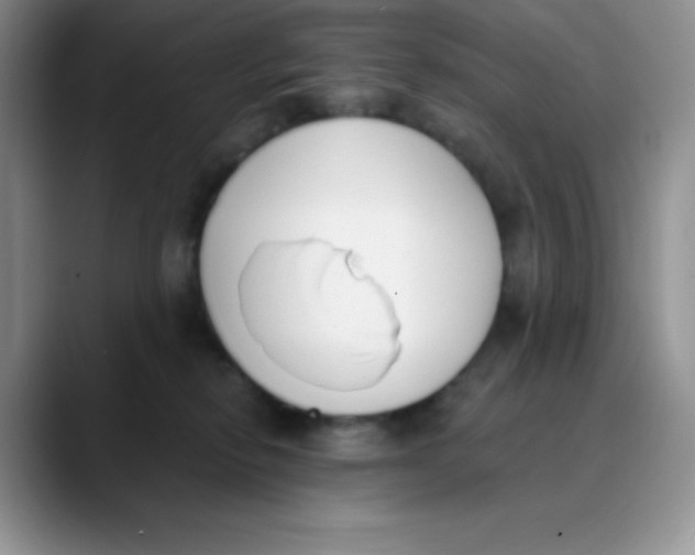 X0000089850278200707191908