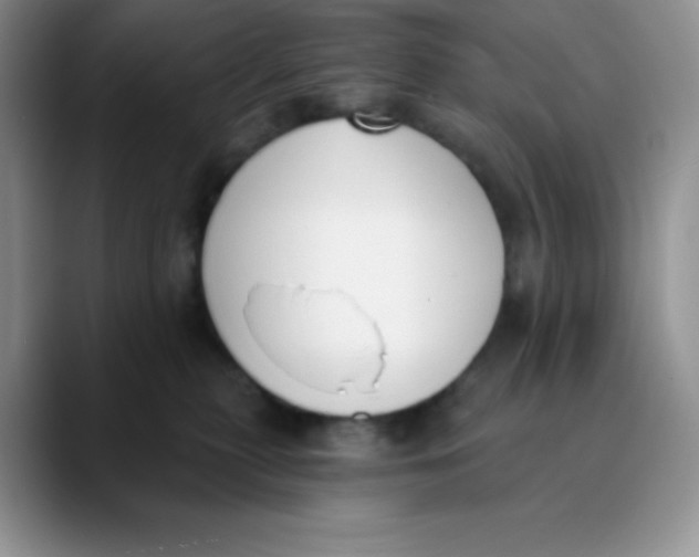 X0000089850279200707191908