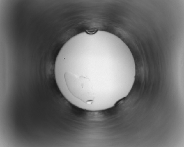 X0000089850281200707191908