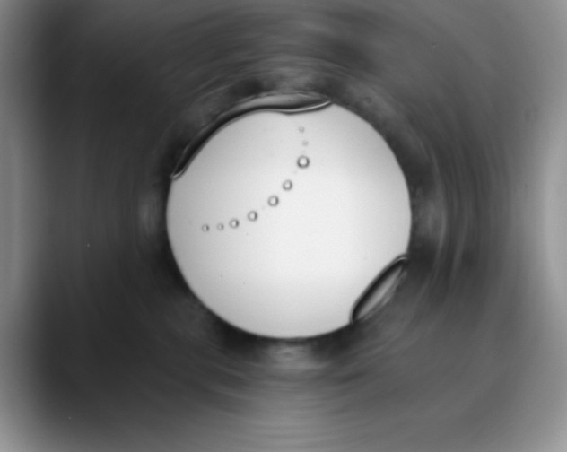 X0000089850283200707191908