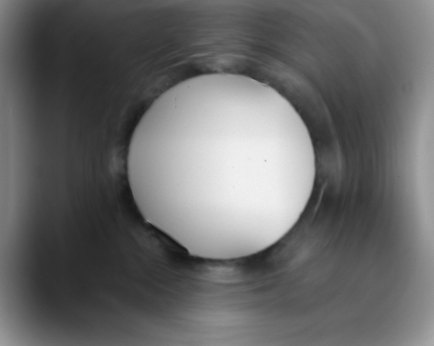 X0000089850284200707191908