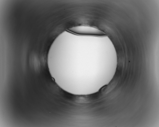 X0000089850285200707191908