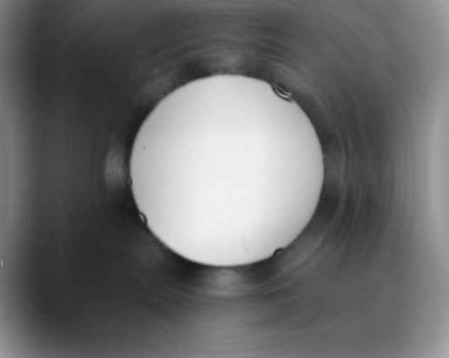 X0000089850287200707191908