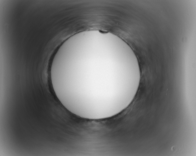 X0000089850290200707191907