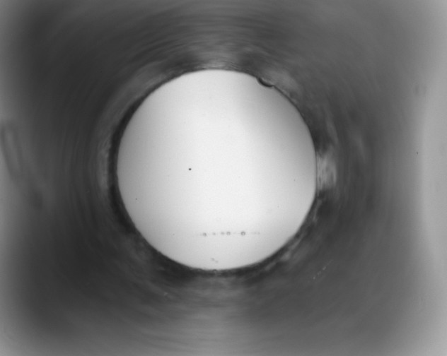 X0000089850291200707191907