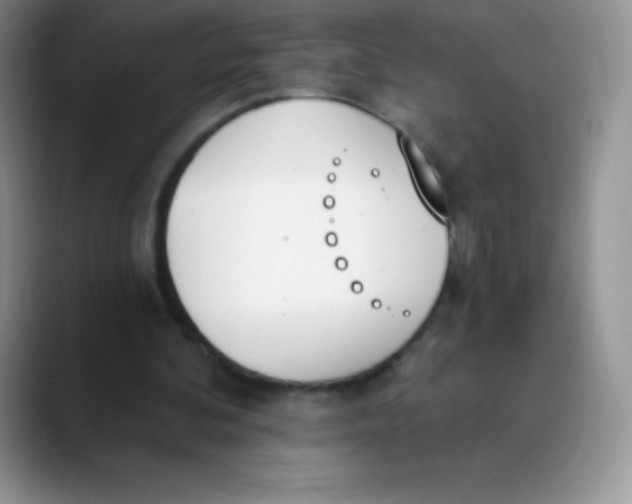 X0000089850292200707191907