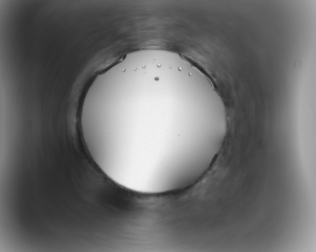 X0000089850293200707191907