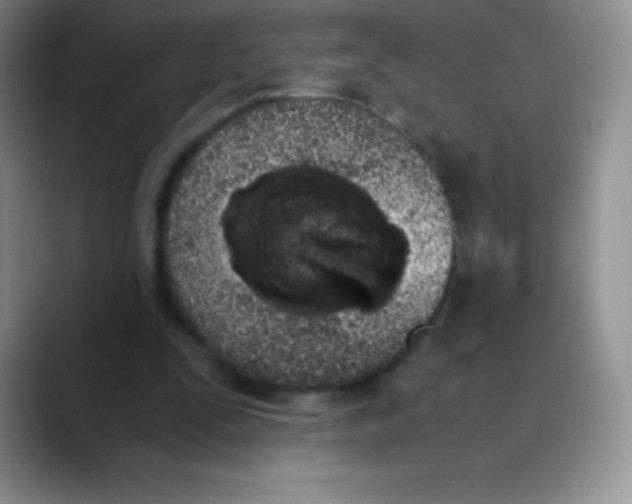 X0000089850295200707191907