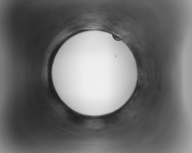 X0000089850296200707191907