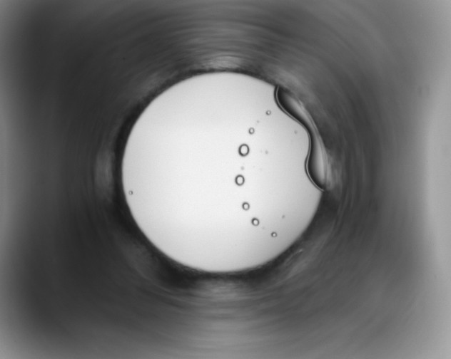 X0000089850300200707191907