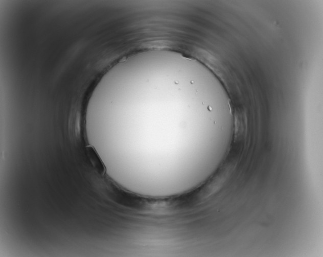 X0000089850301200707191907