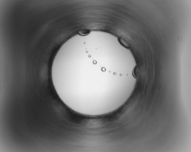 X0000089850303200707191907