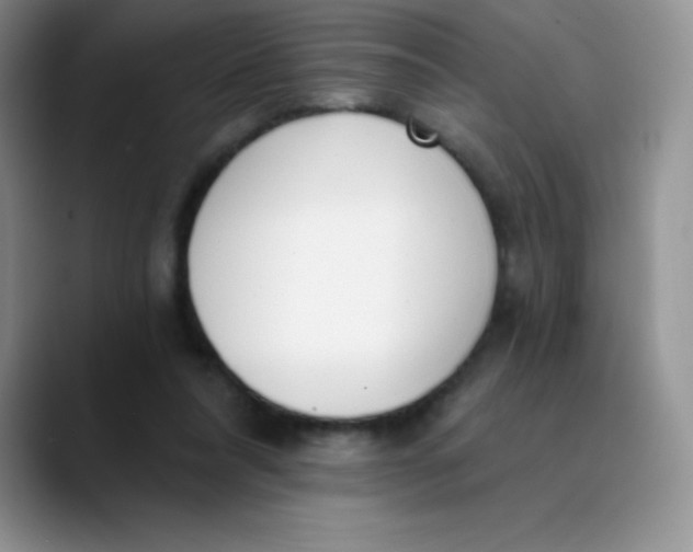 X0000089850304200707191907