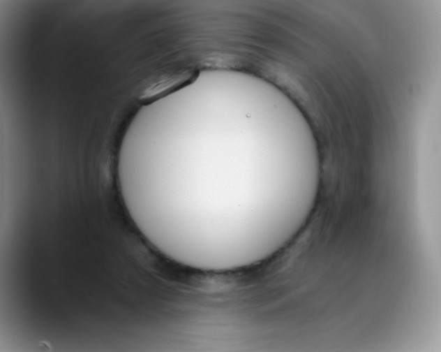 X0000089850305200707191907