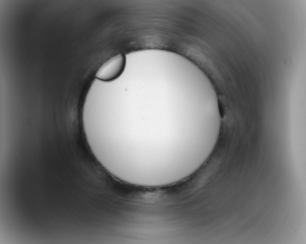 X0000089850306200707191907