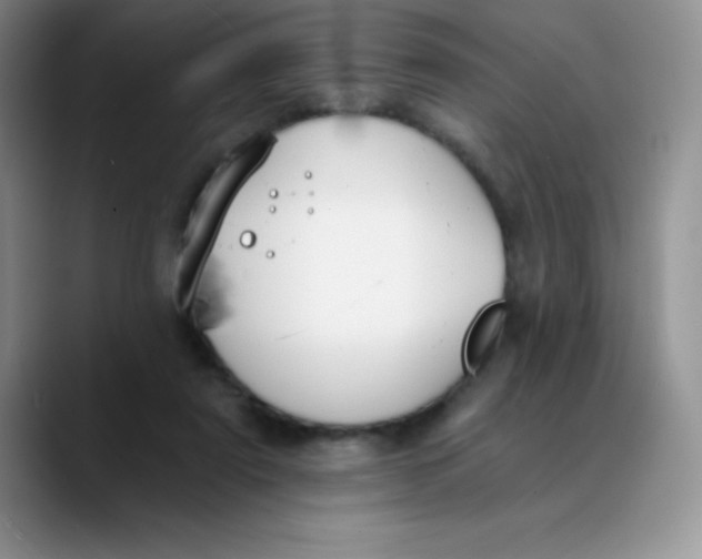 X0000089850307200707191907