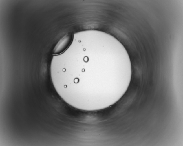 X0000089850308200707191907