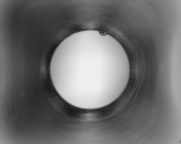 X0000089850312200707191907