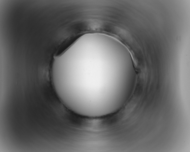 X0000089850313200707191907