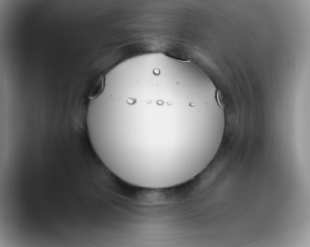 X0000089850325200707191907