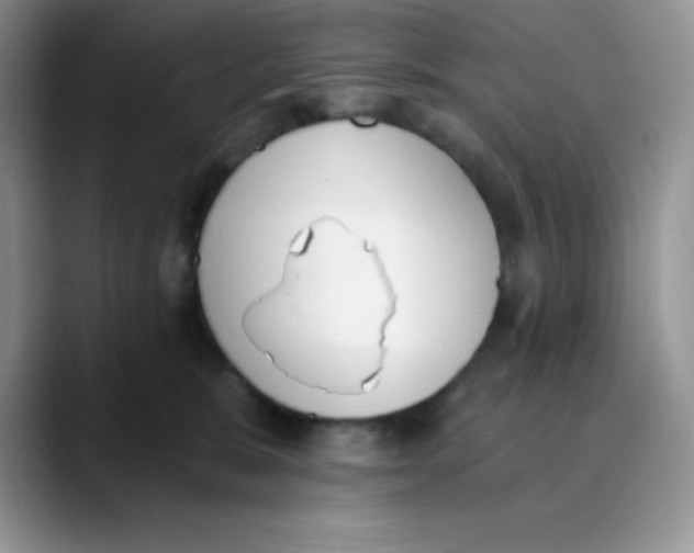 X0000089850327200707191907