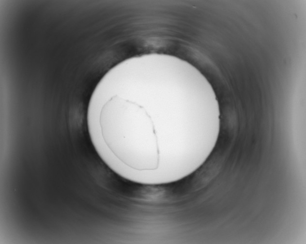 X0000089850328200707191907