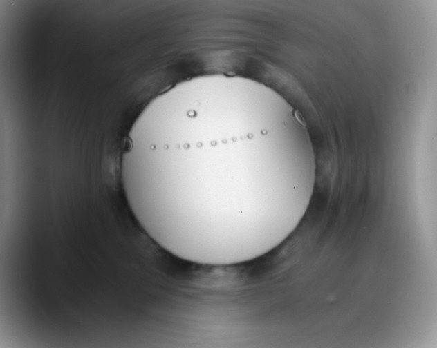 X0000089850329200707191907