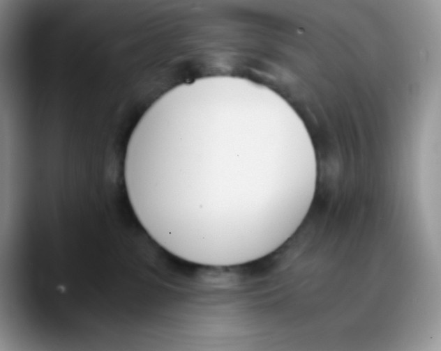 X0000089850331200707191907