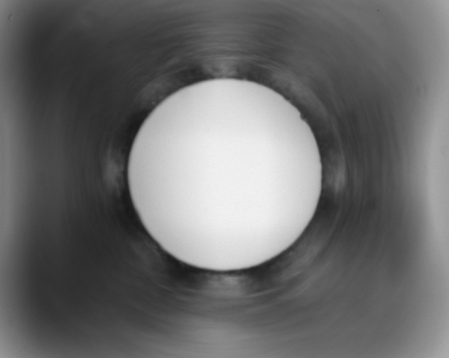 X0000089850332200707191907