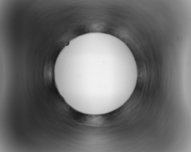 X0000089850334200707191907