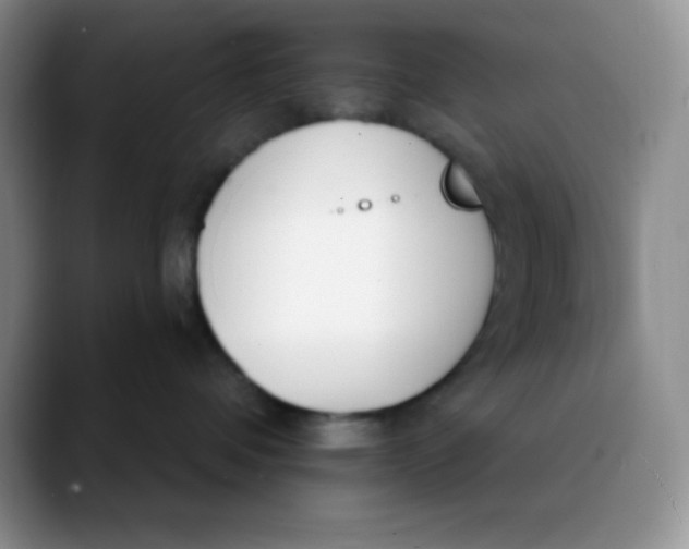 X0000089850336200707191907