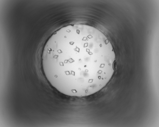 X0000089850337200707191906