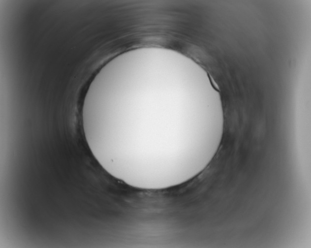 X0000089850338200707191906