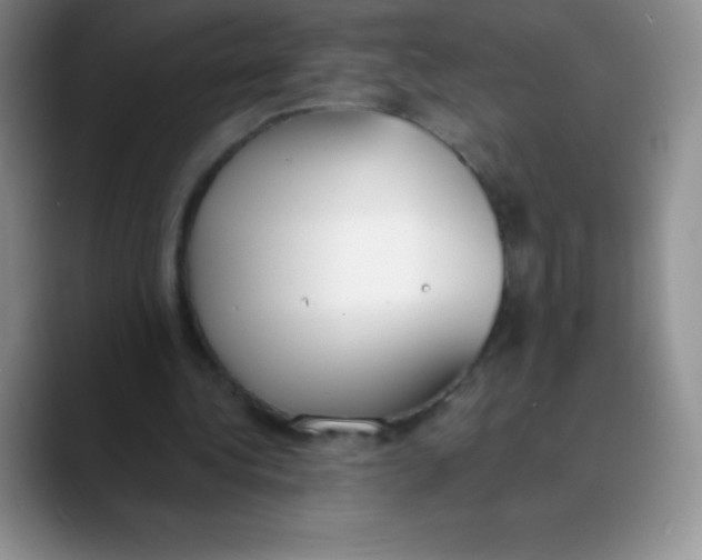 X0000089850340200707191906