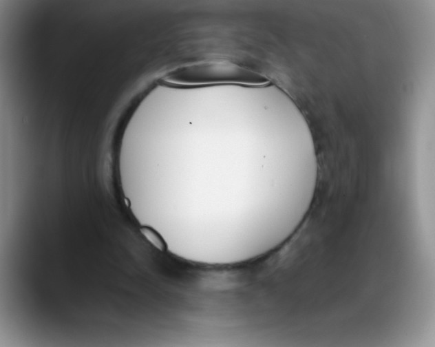 X0000089850342200707191906