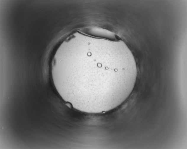 X0000089850343200707191906