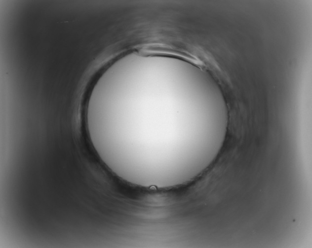 X0000089850344200707191906