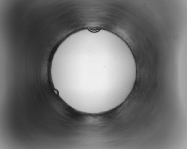 X0000089850346200707191906