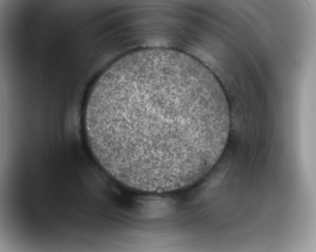 X0000089850347200707191906