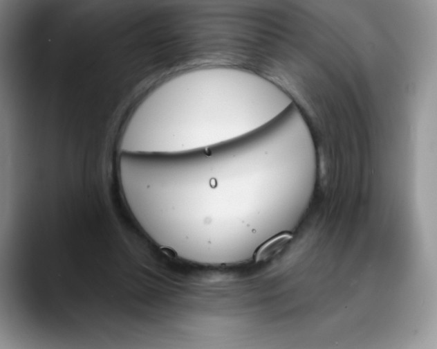 X0000089850348200707191906