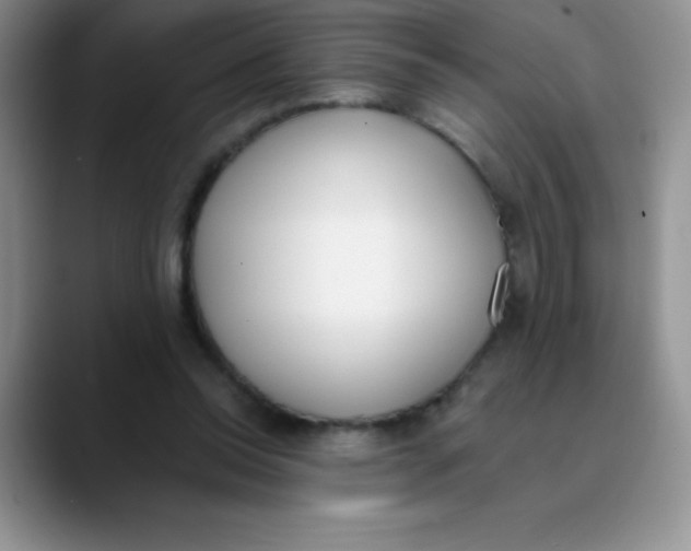 X0000089850350200707191906