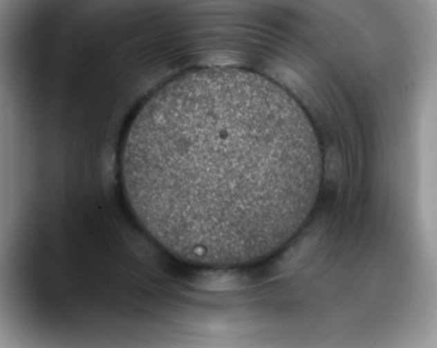 X0000089850351200707191906