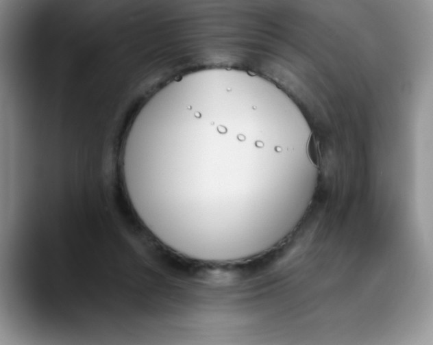 X0000089850352200707191906