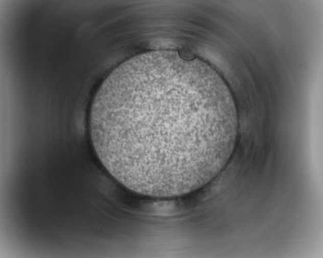 X0000089850353200707191906