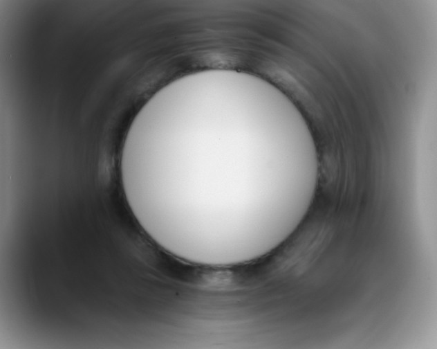 X0000089850355200707191906