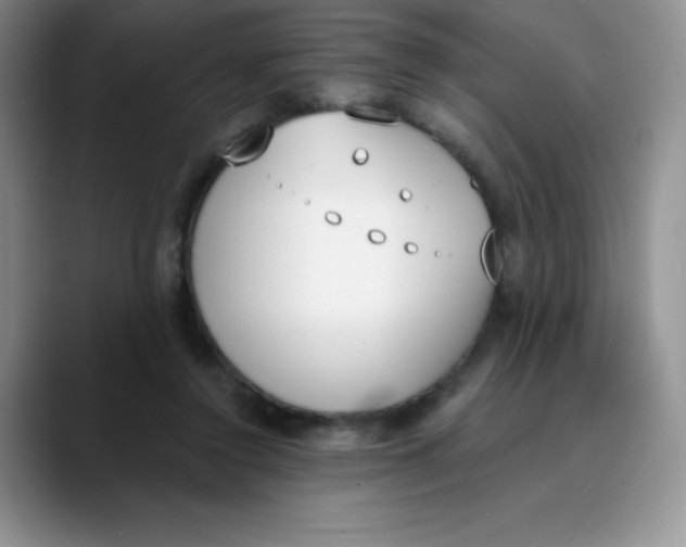 X0000089850356200707191906