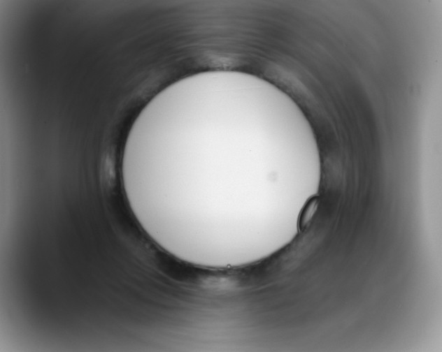 X0000089850358200707191906