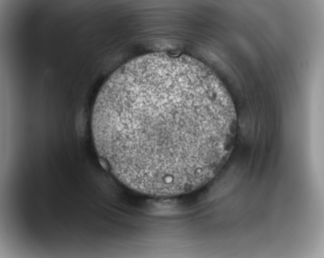 X0000089850359200707191906